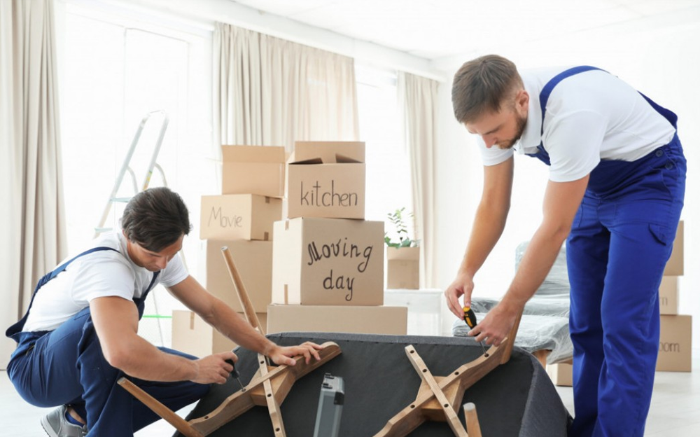 Packing and moving services North York team